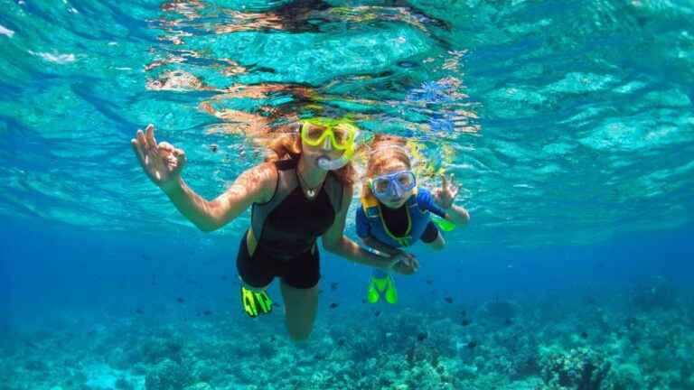 praias brasileiras para praticar snorkel