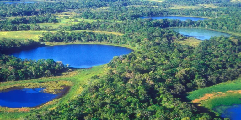 Pantanal Assistir Online O Guia Definitivo para Reviver este Clássico da TV Brasileira