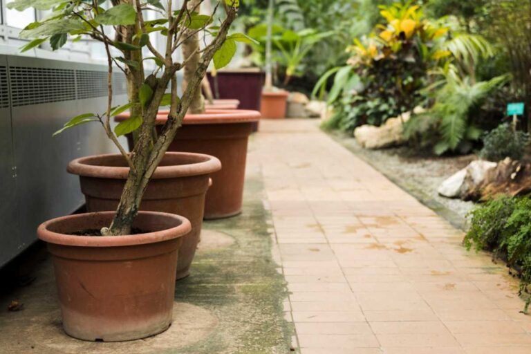 Como combinar paisagismo e decoração externa para deixar o quintal mais acolhedor